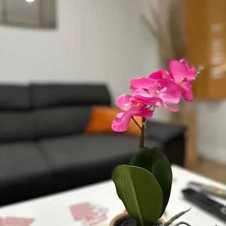 Esprit Mediterraneen Apartment *